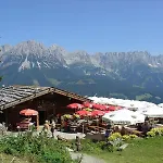 Oberholzer &