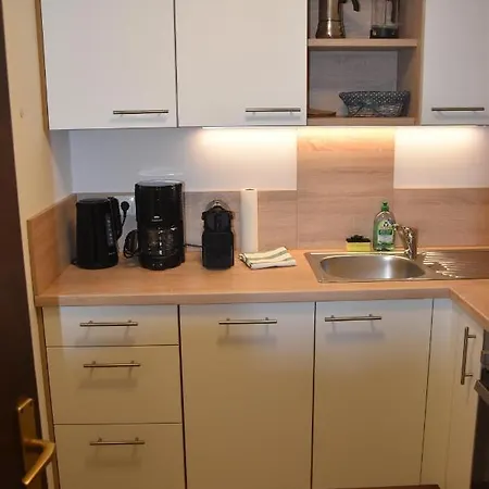 Apartment Oberholzer Landhaus&appartement Ellmau